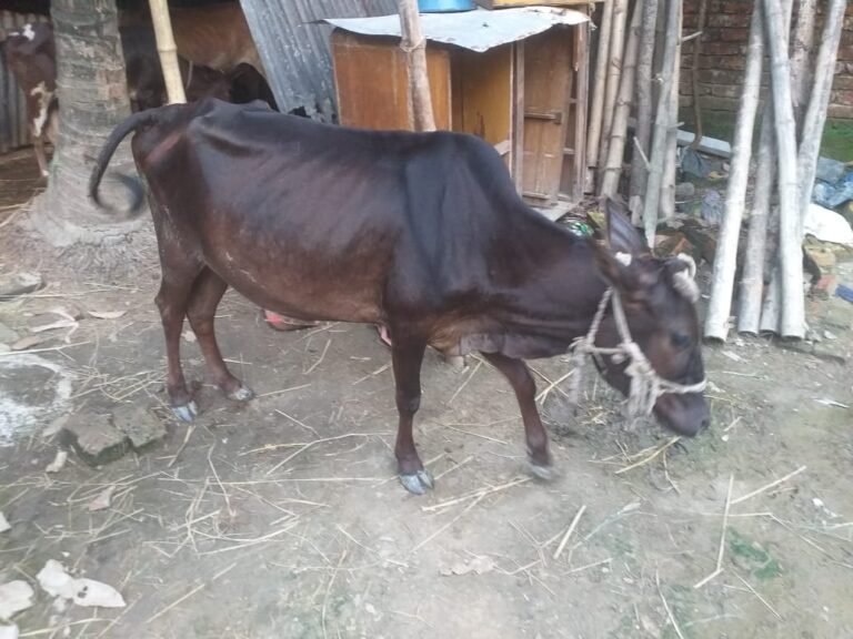 WhatsApp Image 2025-05-28 at 20.16